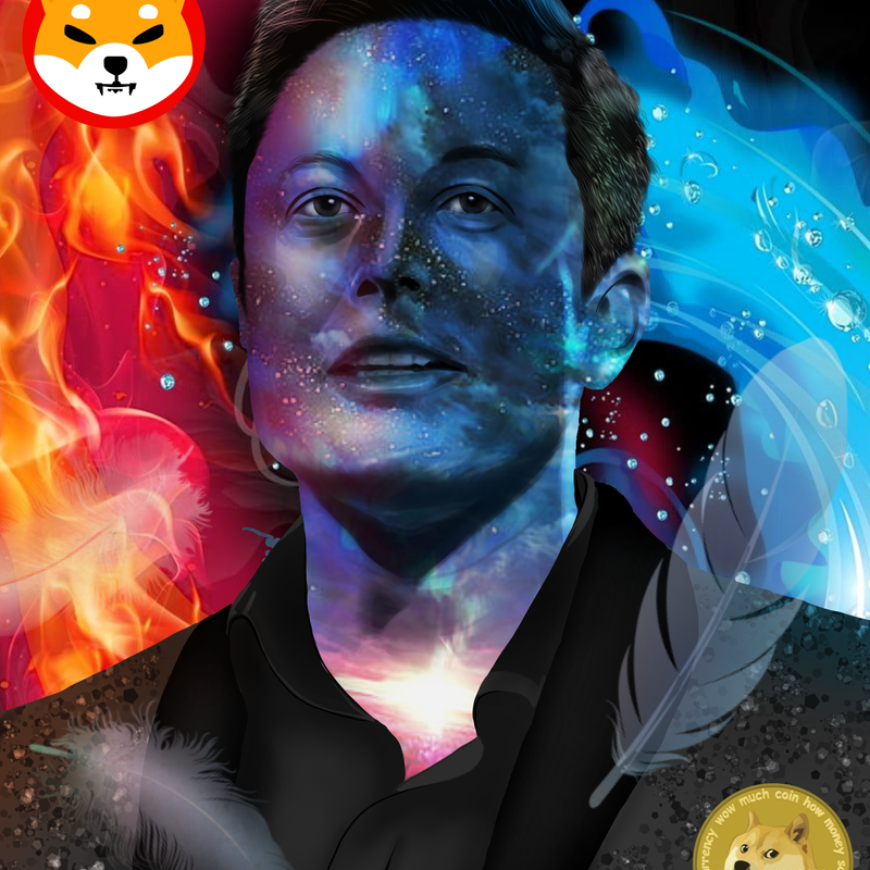 Nft Mr. Elon Musk