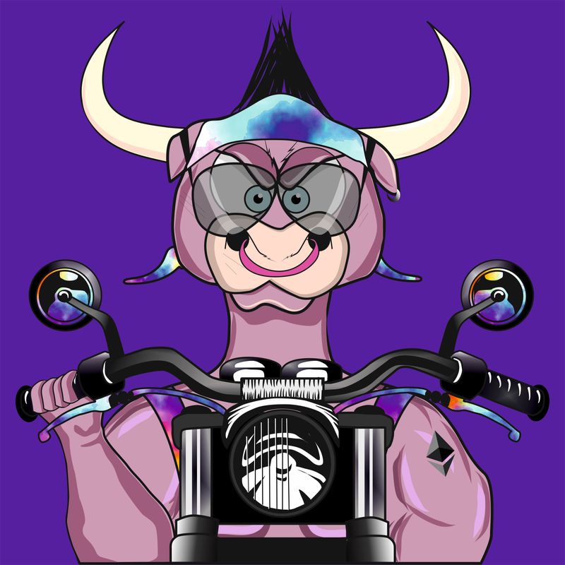 Nft Bulls Series #12