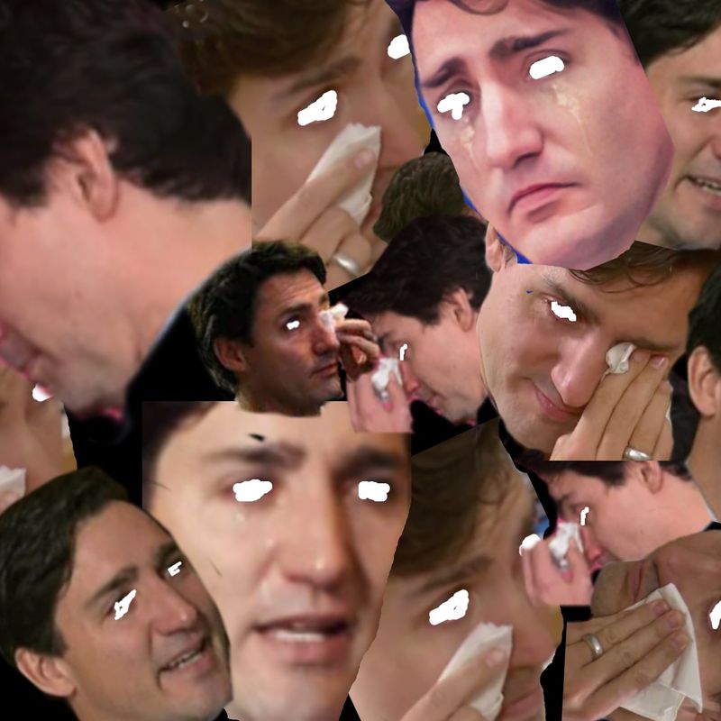 Nft Crying Justin Trudeau Collage