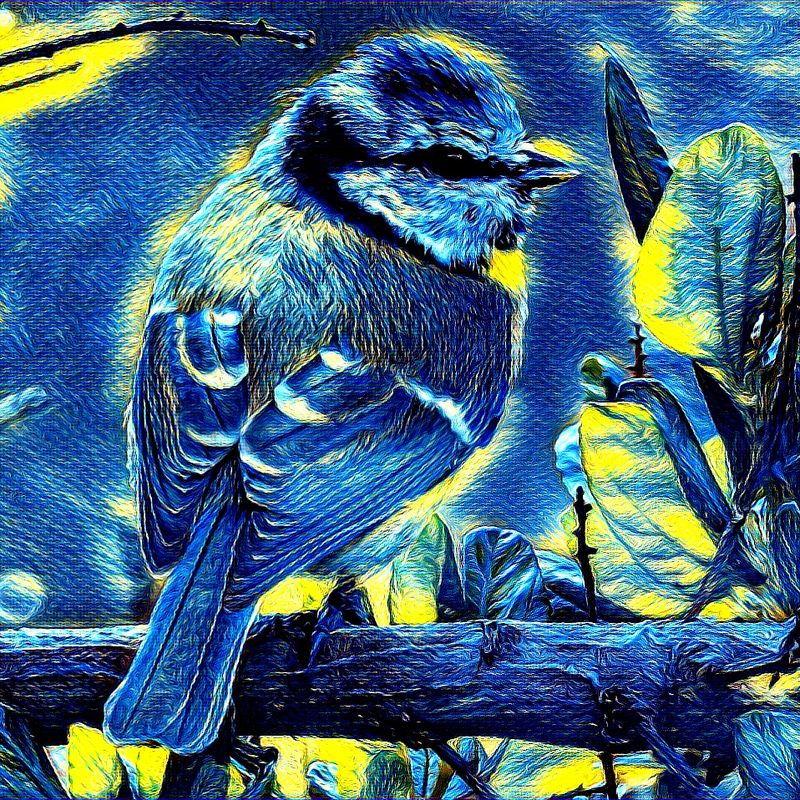 Nft Bird - The Starry Night Style