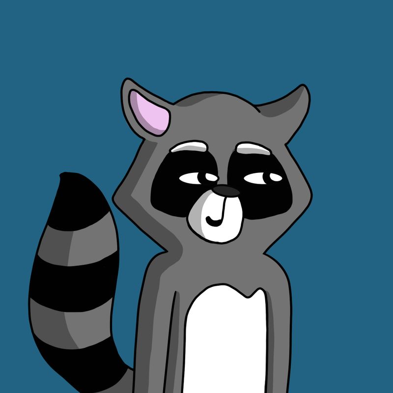 Nft 001 Racoon