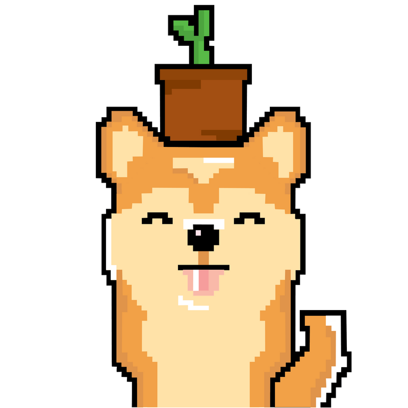 Nft SHIBA INU 8/50
