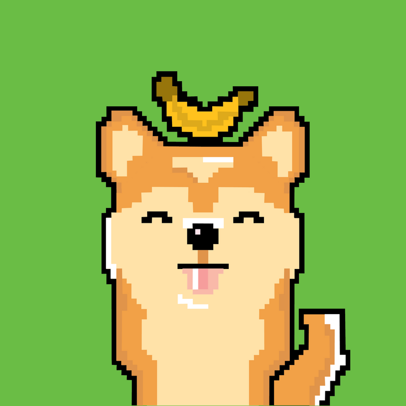 Nft SHIBA INU 10/50