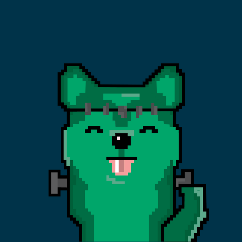 Nft SHIBA INU 14/50
