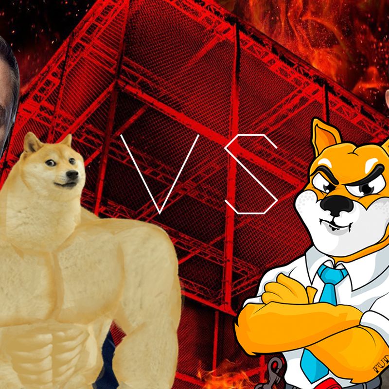 The Dog Fight NFT Collection Airnfts