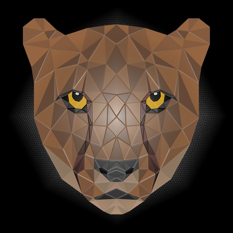 cheetah crypto price