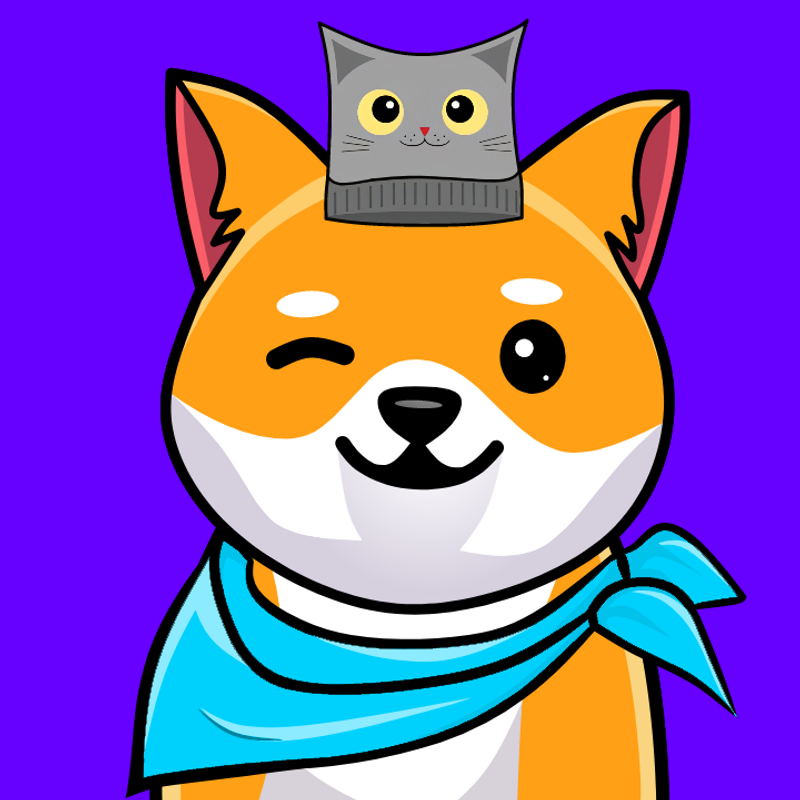 Nft CatDoge