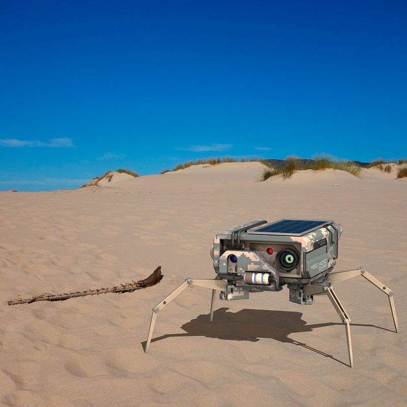 Nft Spider Robot. Among the sands