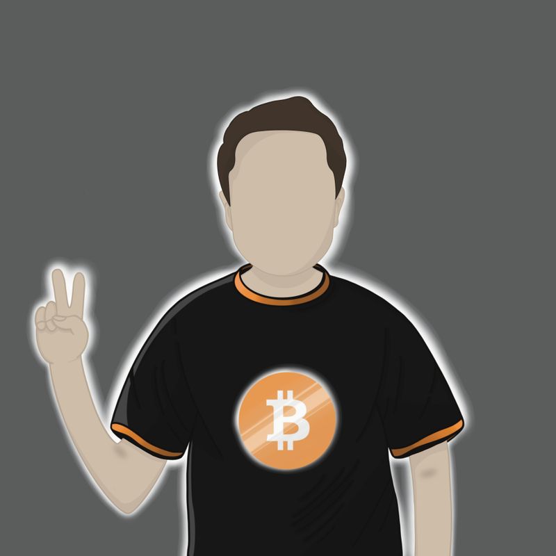 Nft Elon Musk in a Bitcoin T-shirt