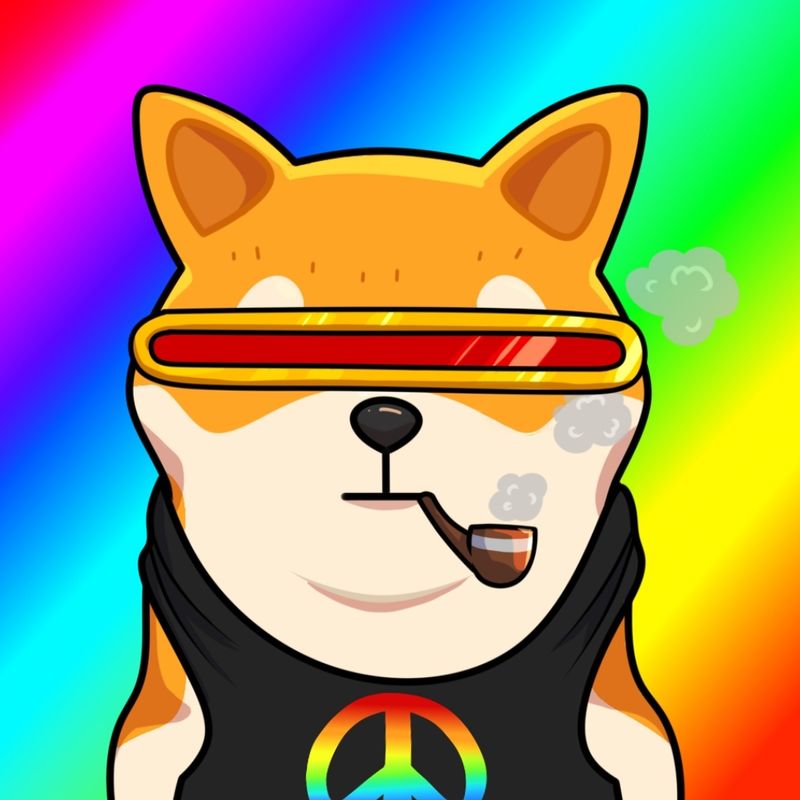 SHIBA INU #2 21╳55 MEMO | NFT | Earn BNB, FTM, Polygon via NFTs | Airnfts