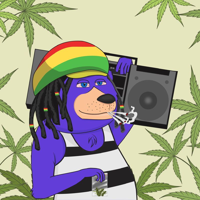 Nft Cool Bear #12