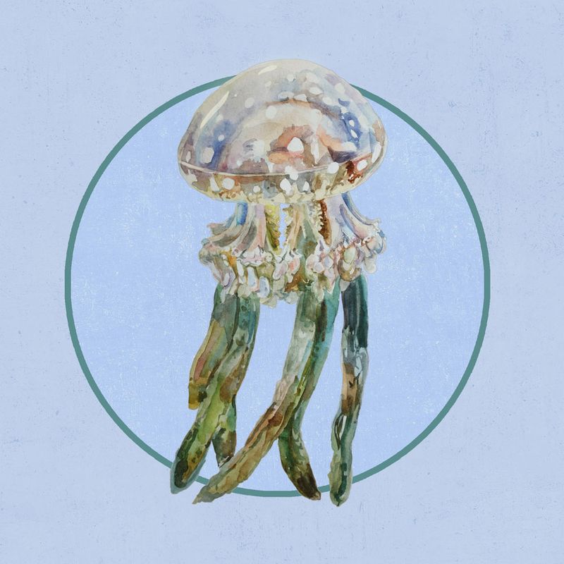 Nft Soft lilac jellyfish