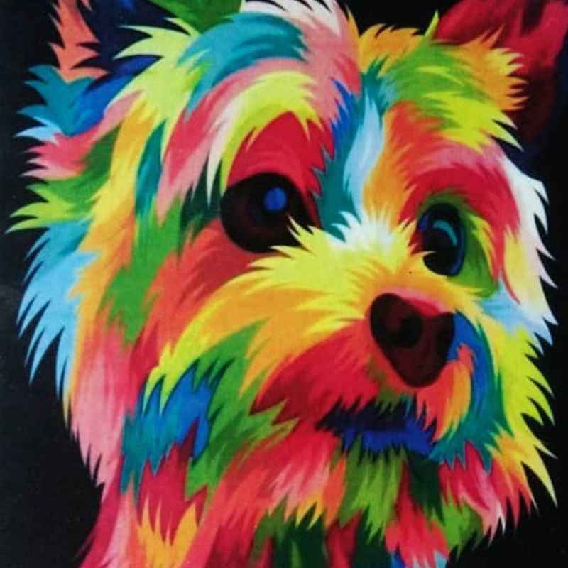 Nft Beautiful Dog
