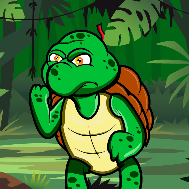 Nft THOMAS THE TURTLE 