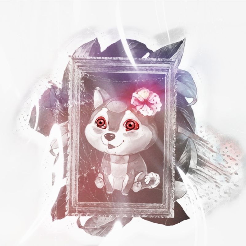 Nft Aoi/Rare (First edition)