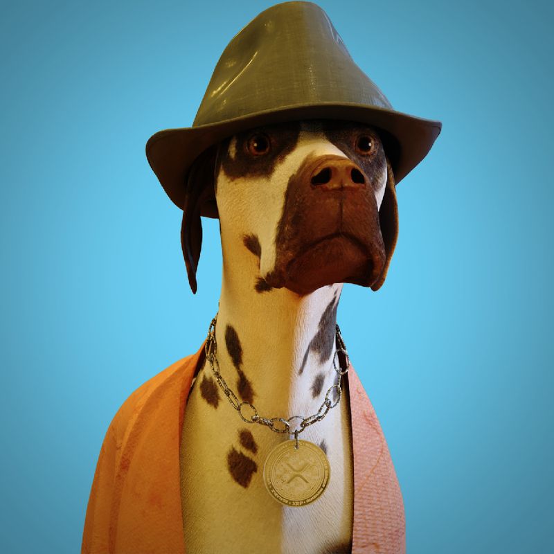 Nft bored dog XRP