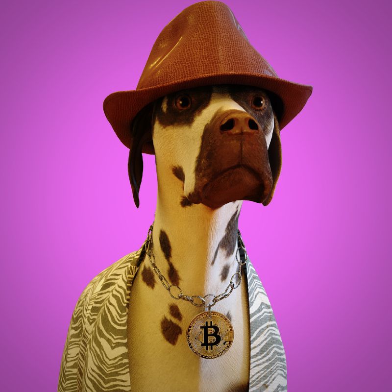 Nft bored dog bitcoin