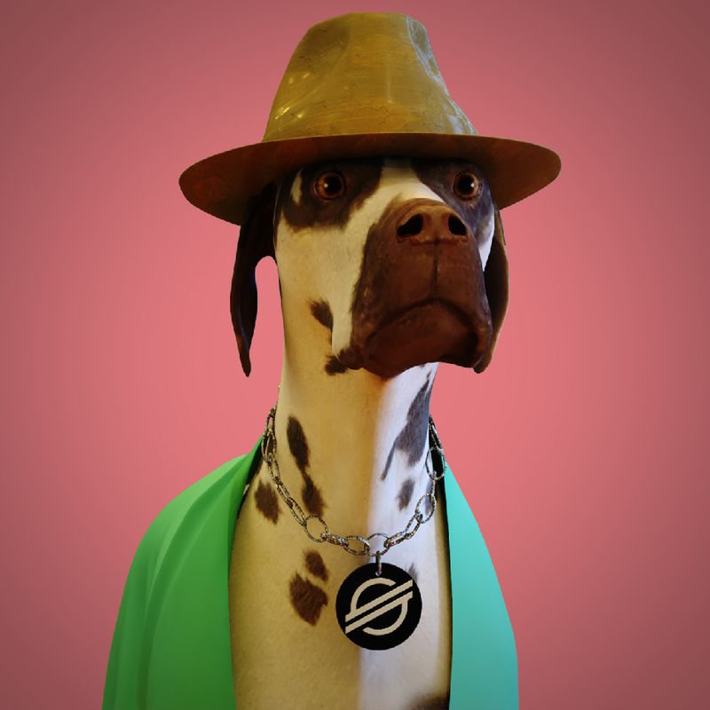 Nft bored dog xlm