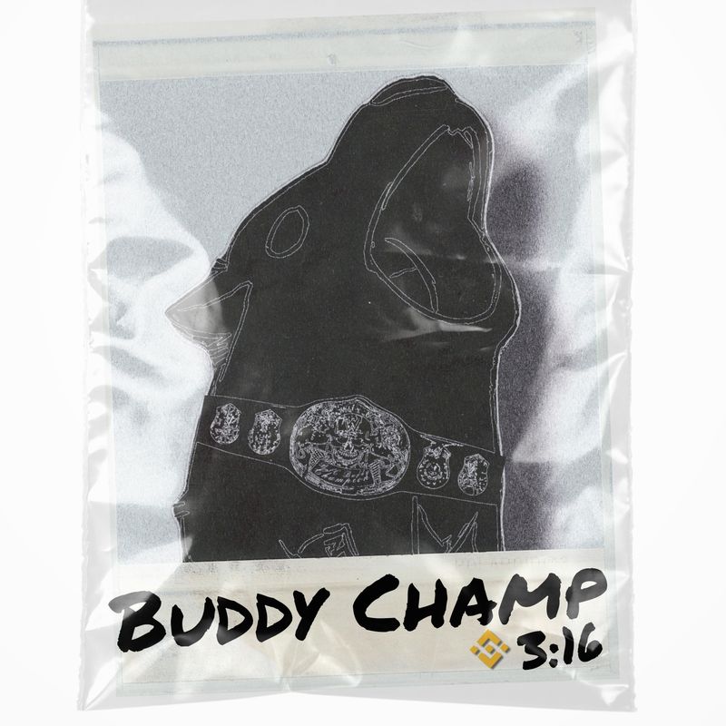 Nft Buddy 316