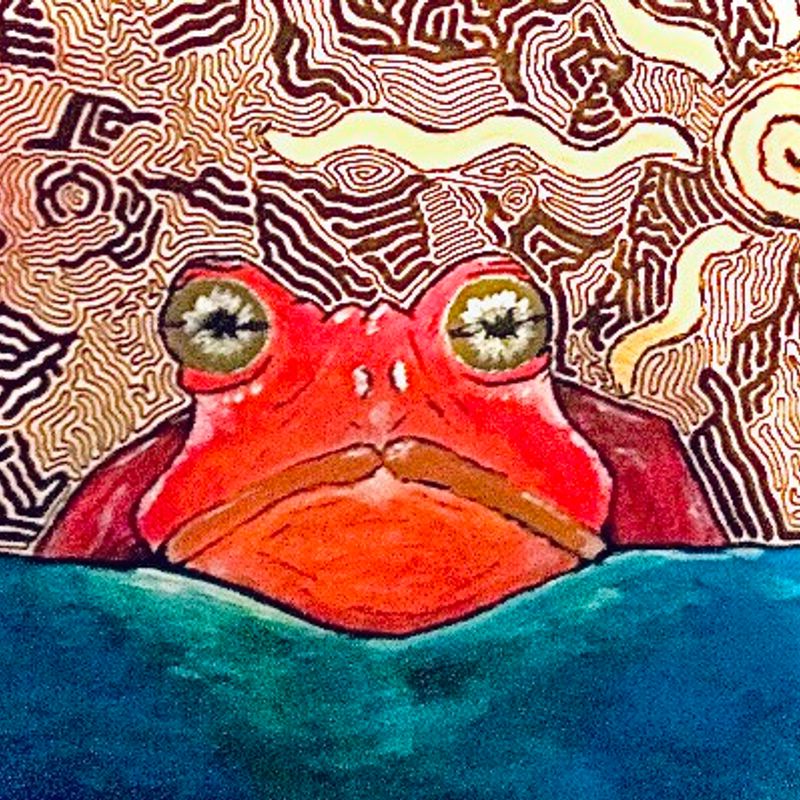 Psychedelic Sunbathing Toad | NFT Collection | Airnfts