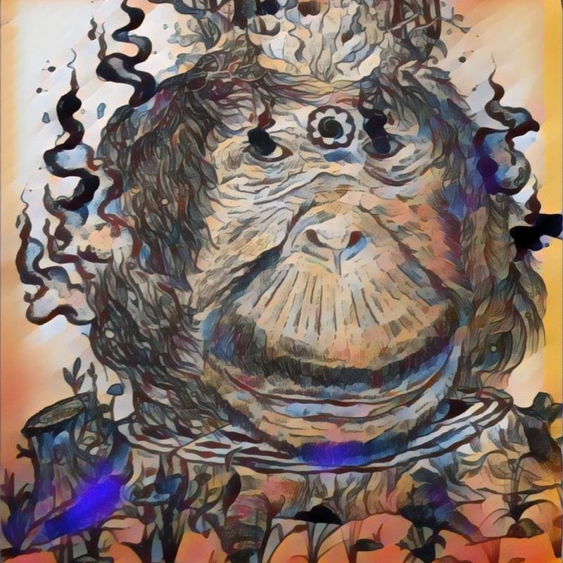 Nft Bored Ape abstract