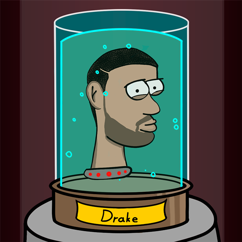 Nft Head #13 Drake
