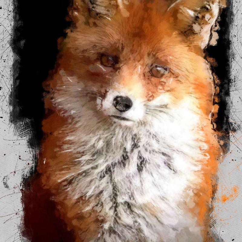 Nft cute fox 