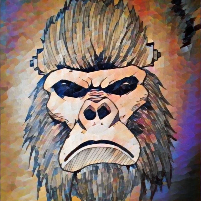 Nft Cool Kong