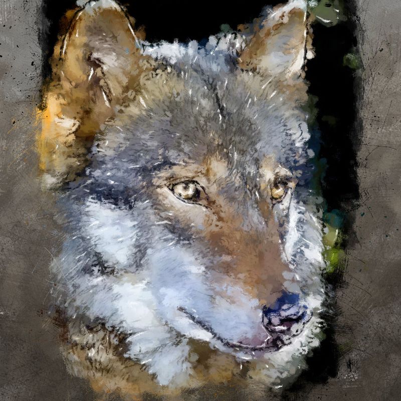Nft wolf