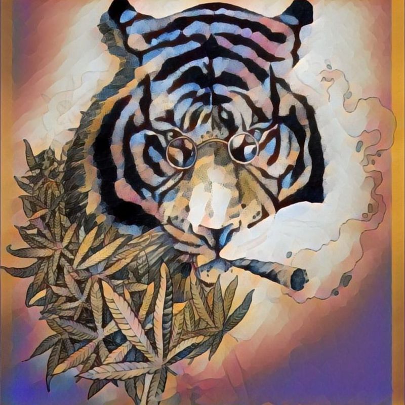 Nft Cool Tiger