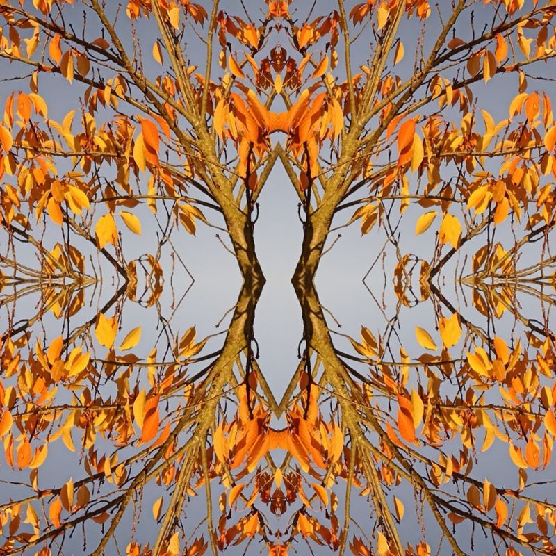 Nft Pttrn #1