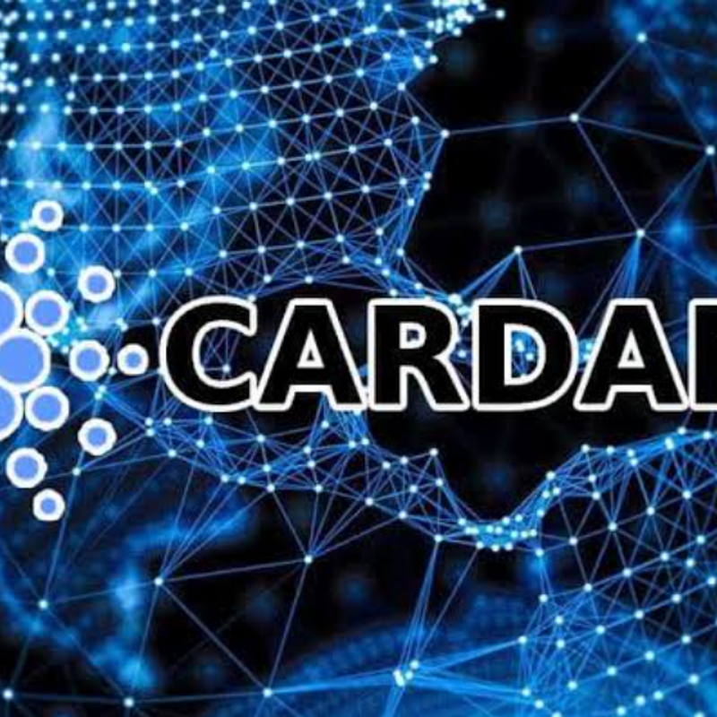 Nft  Cardano aussi veut pro #1003 