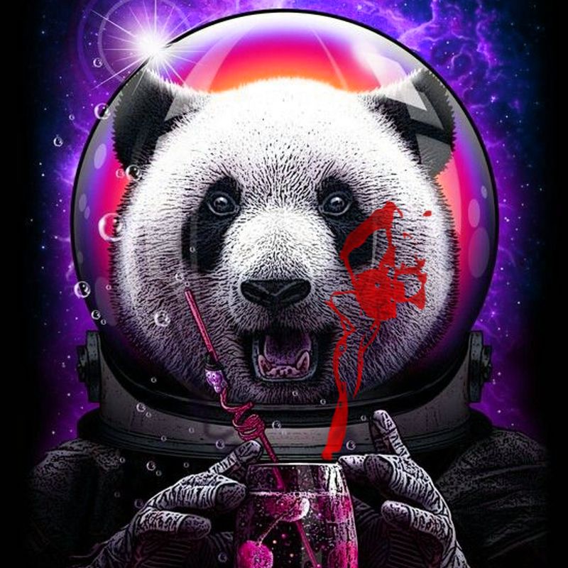 Nft Space panda