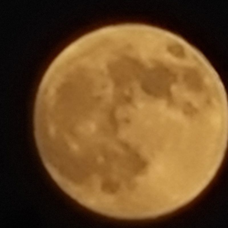 Nft Moon life