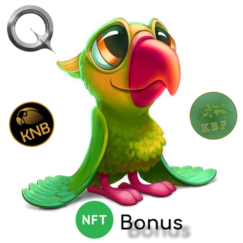 Nft Official KNB Bonus Card