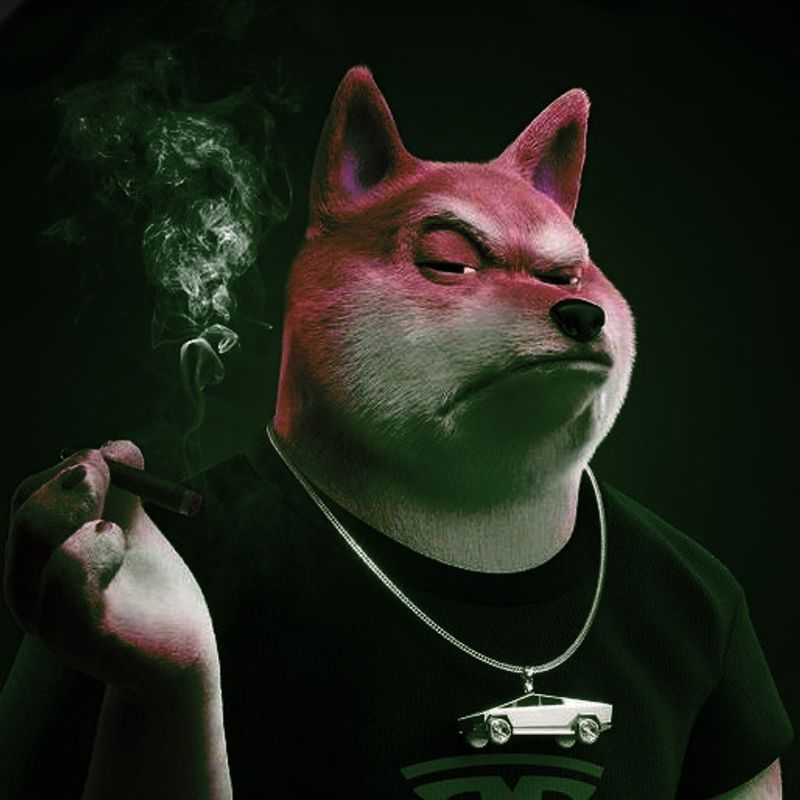 Nft Dog Musk2