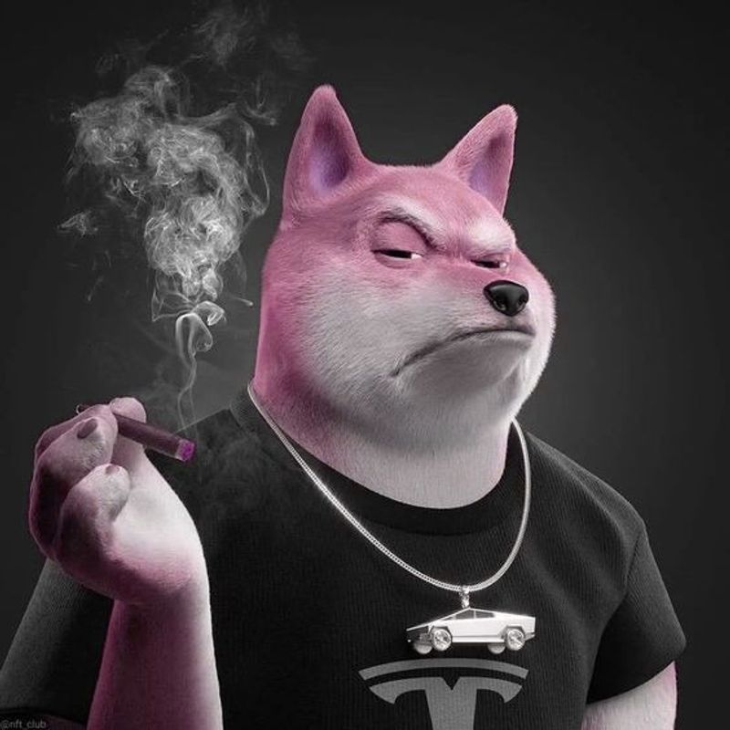 Nft Dog Musk