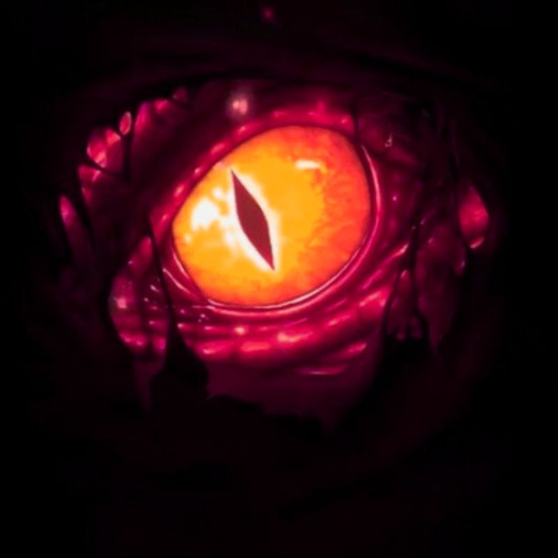 Nft Dragon Eye