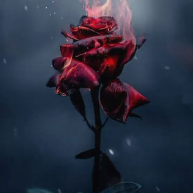 Nft Fire Rose