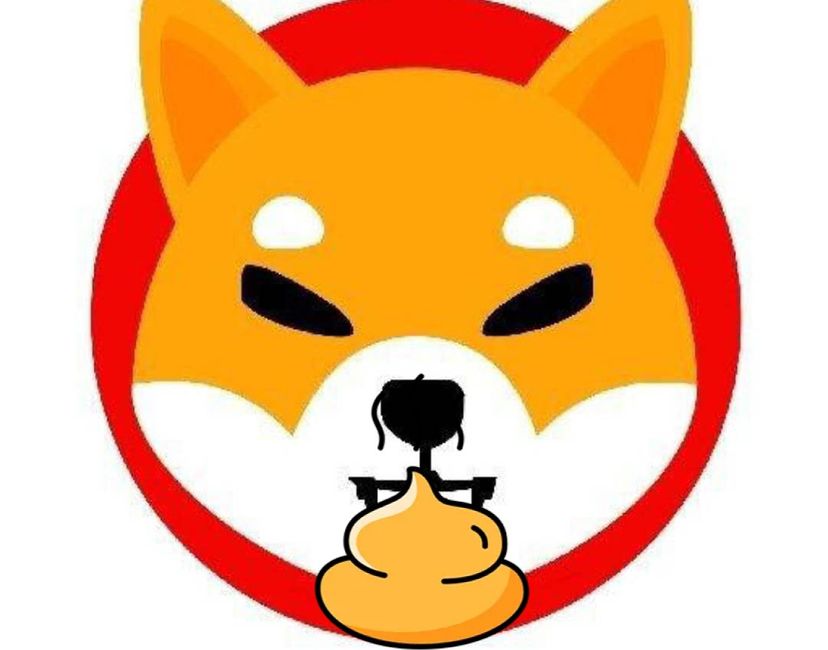 Nft SHIB_0013 SHIT