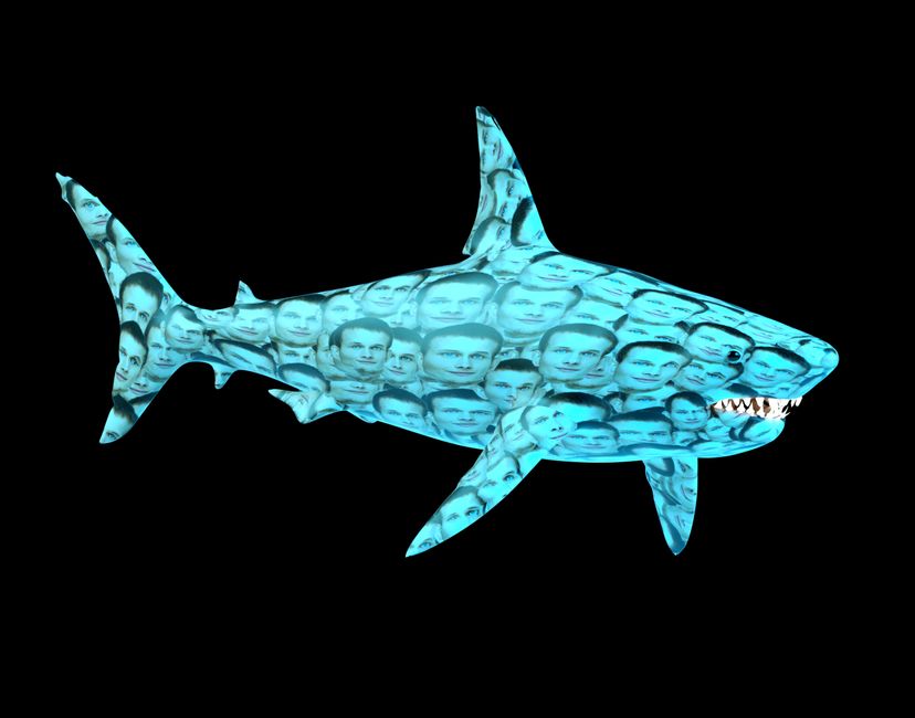 Nft  Shark Tank | Vitalik Buterin