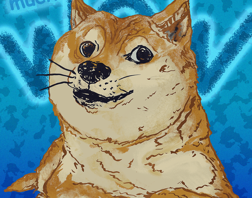 Nft Doge much wow