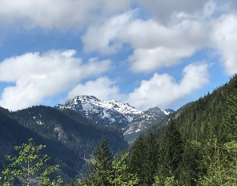 Nft North Bend, Washington