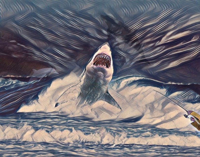 Nft Shark Attack