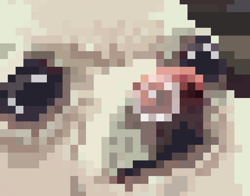 Nft Mem #1