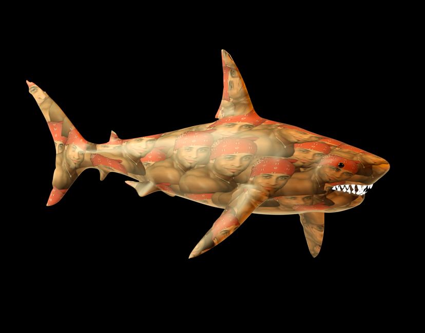 Nft Shark Tank | Ricardo Milos