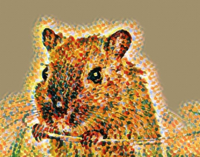 Nft A cuttiiee 🐁🐀🐁