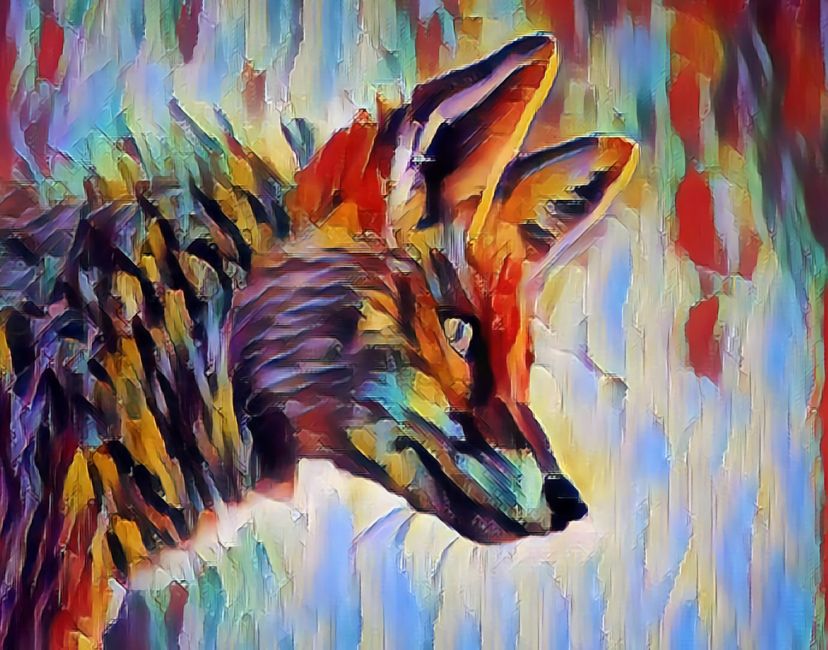 Nft Hinted Fox 🐾
