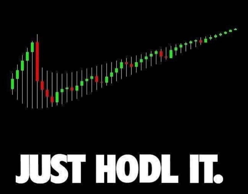 Nft Just Hodl It.