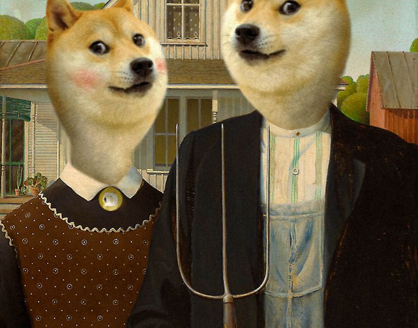 Nft Doge family 